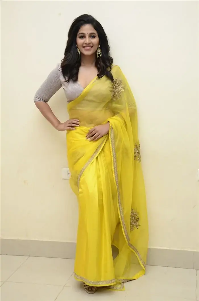 SOUTH INDIAN ACTRESS ANJALI STILLS IN TRADITIONAL LEMON YELLOW SAREE 6